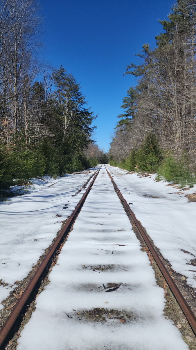 ToxicTeapot's tweet photo. #maine https://t.co/Px0ebf8C6Y