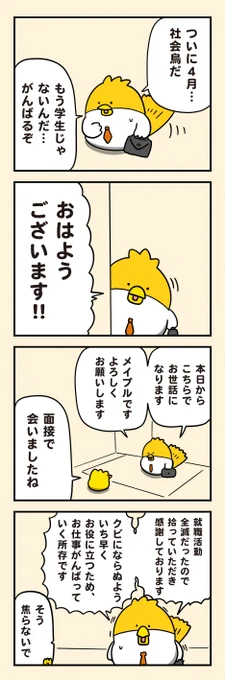 新社会鳥の就職先 