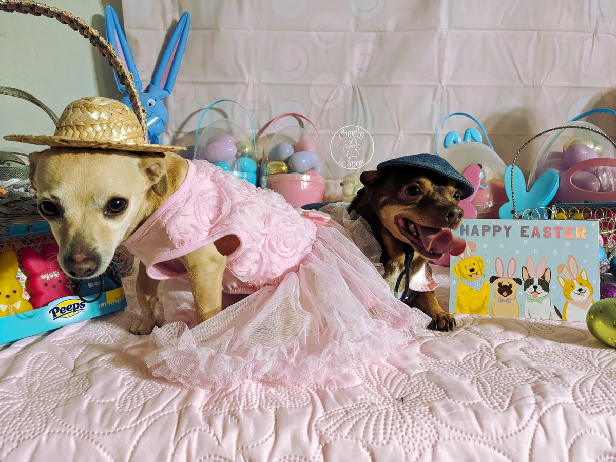 ❤️🏍️Chewby & Snow White🛵❤️ tweet media
