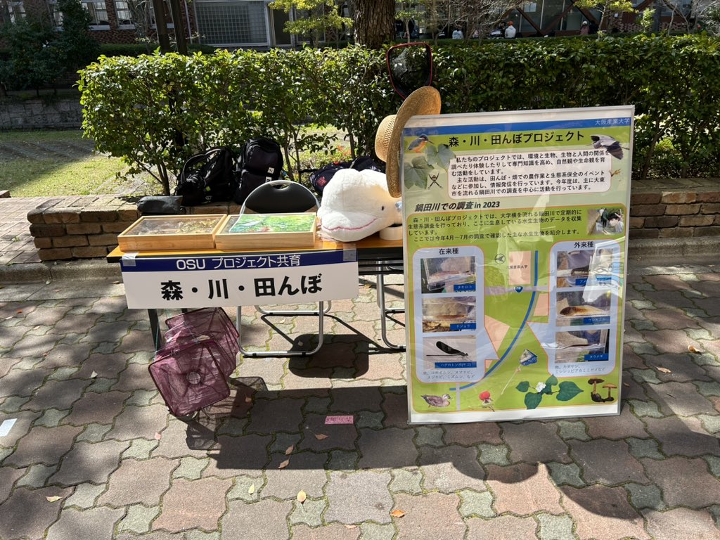 MKTP48's tweet photo. 森・川・田んぼプロジェクトブースもあります！！！
生き物や自然が好きな方はぜひ立ち寄ってみてください！
#春から大阪産業大学 https://t.co/iuzHrdTYfD