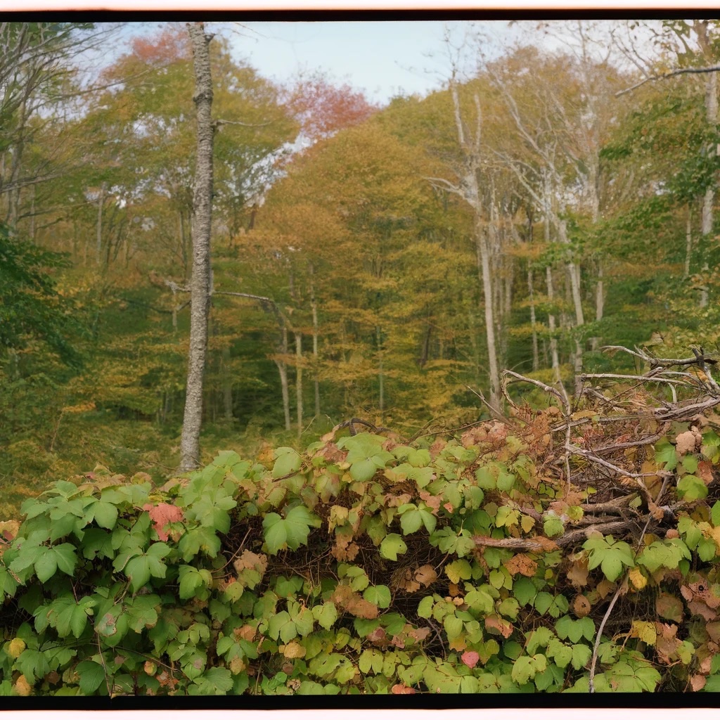 Let’s play: AI or film?