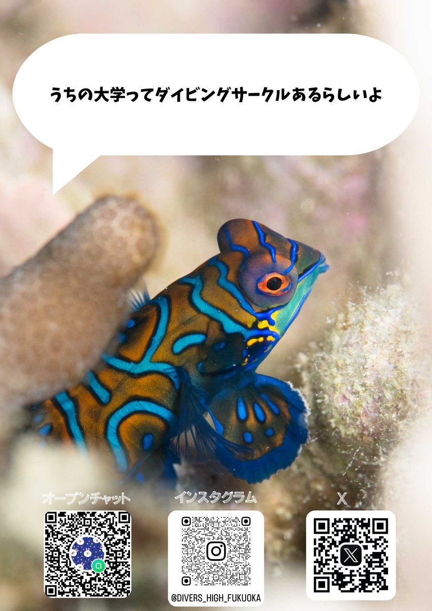 divershigh1's tweet photo. 第2回チラシ選手権！！

1回目はカメのチラシが人気でした👍🏻

1枚目が良ければリポスト
2枚目が良ければいいね

お願いします！
2日の23時までを締め切りとさせてください。 https://t.co/91WloqSyNI