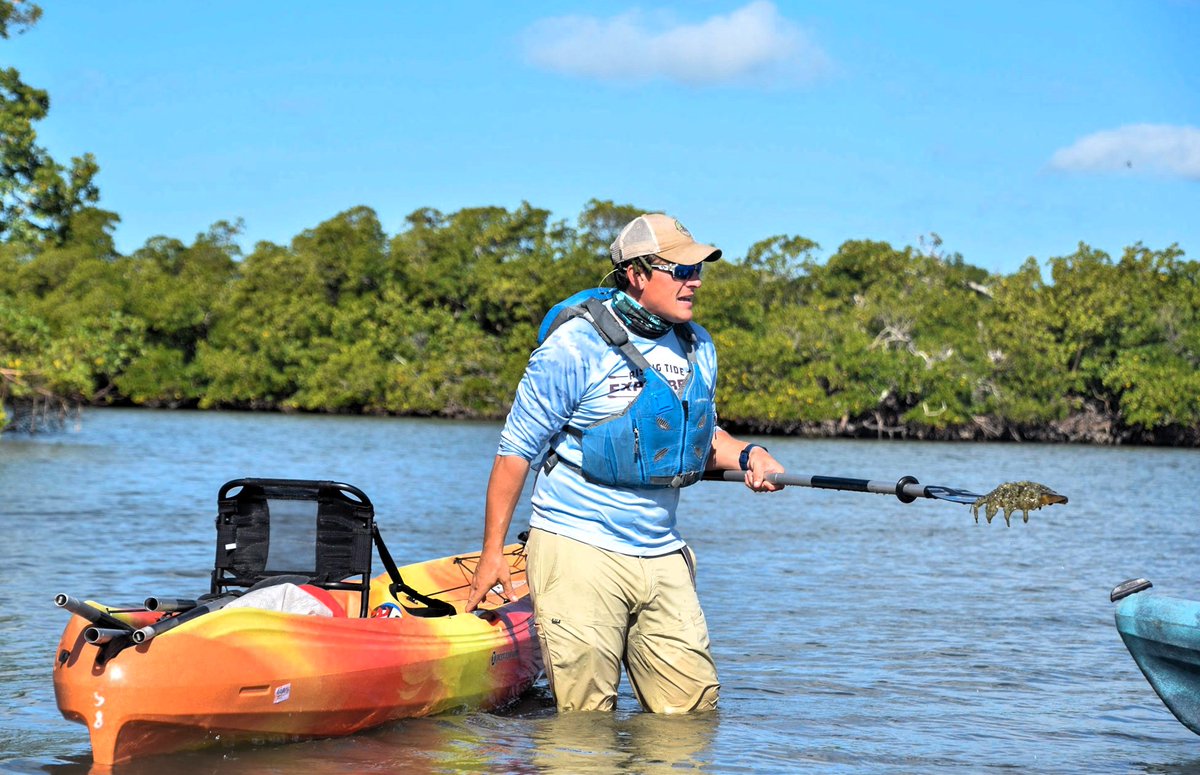 RisingTideFL's tweet photo. Lunch is served! Loads of nutrition in this Sea Squash and our guides know just where to find them! Enjoy this delicacy while exploring the beautiful backwaters of Rookery Bay! #RisingTideFL #ecotours #naplesflorida  #Biologistguides #paradisecoast #AprilFoolsDay https://t.co/9HKpg8NnN8
