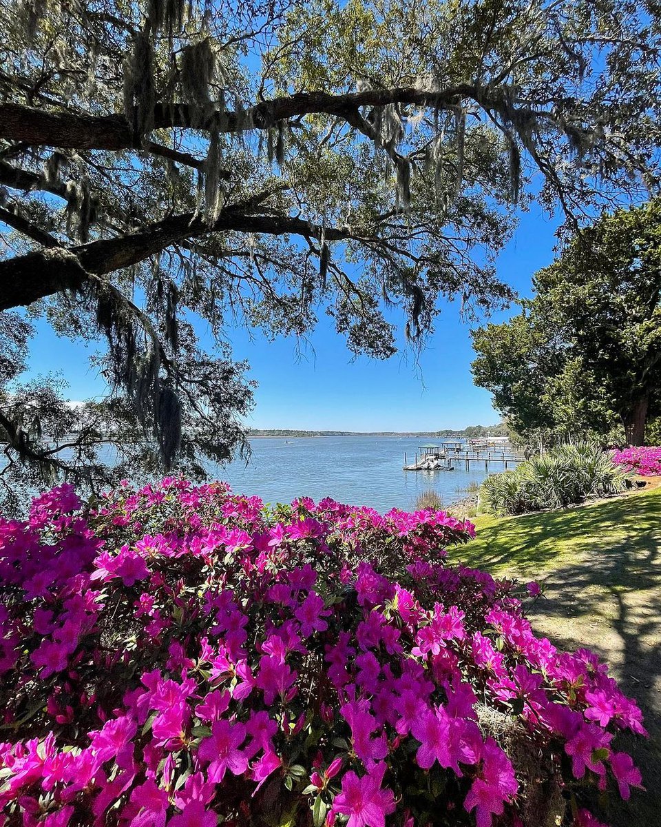 hiltonheadsc's tweet photo. Happy Easter from all of us on Hilton Head Island! 🐰 💐 We hope your weekend is filled with friends, family, and fun. 

📸IG: lowcountrytide https://t.co/ukaYjXhiOG