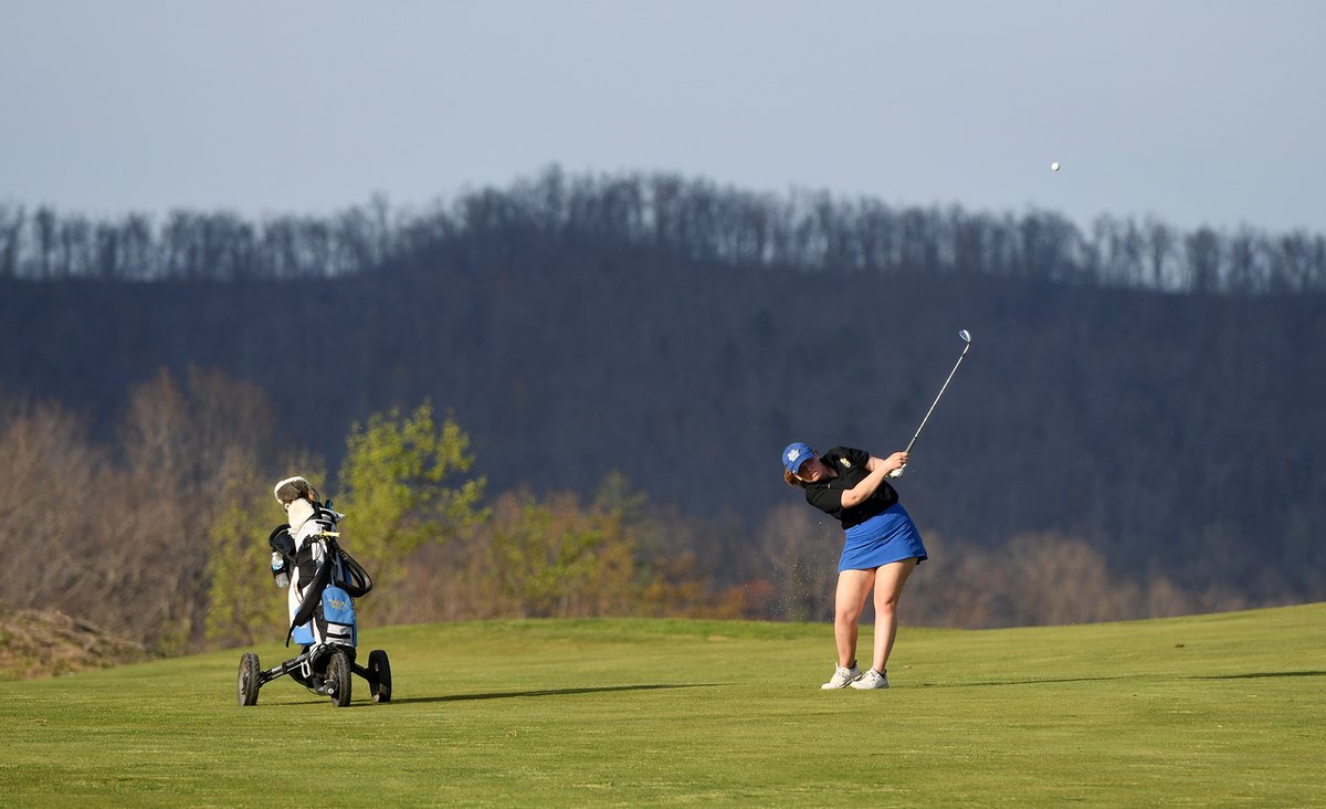 richard robards tweet media