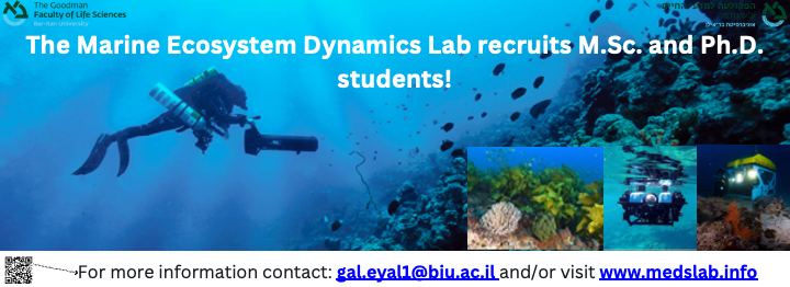 Call for students! 
Passionate about marine ecology? 
Dive into research with us! Explore #reefs in a changing climate, study #mesophotic ecosystems, and unravel the secrets of marine history.
Apply now for MSc and PhD programs. 
#MarineScience #ResearchOpportunity @iui_eilat