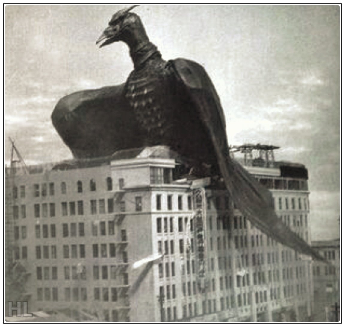 A rare photograph of one of the last magnificent Liverbirds before they were hunted to extinction in the late 1920s.