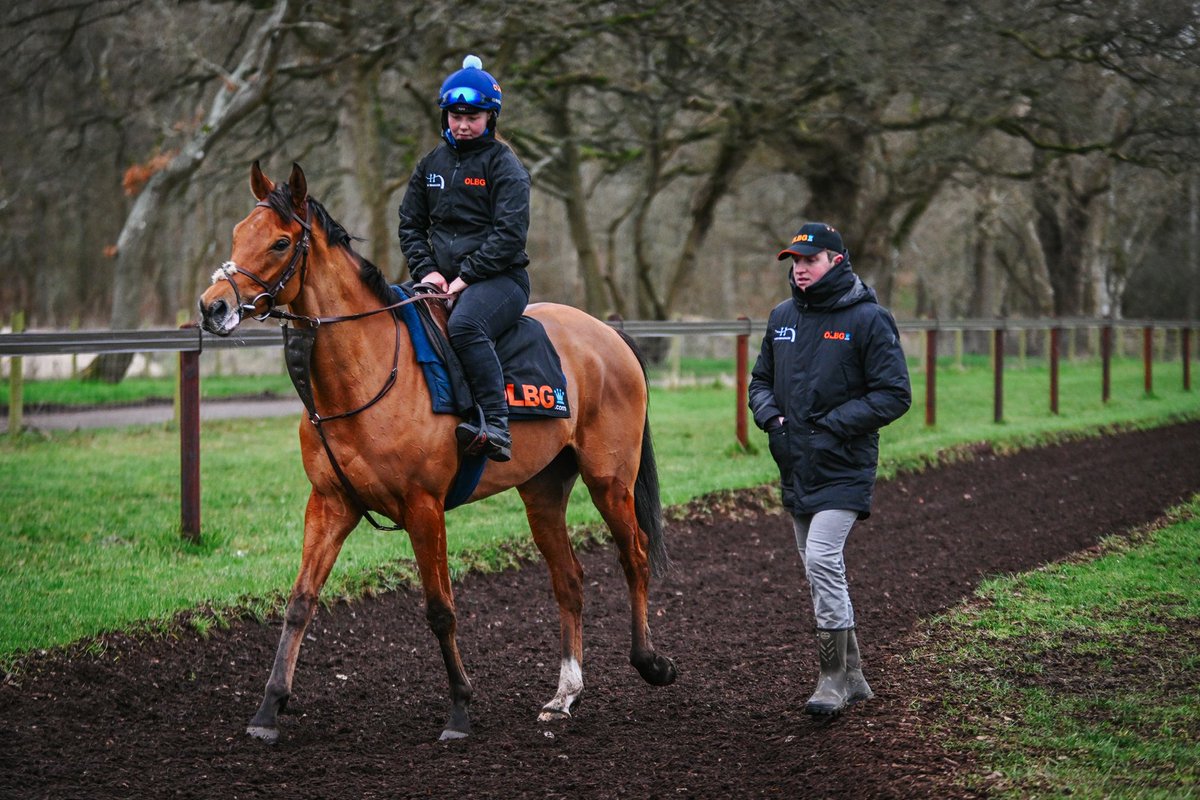 Today we head to @Huntingdon_Race and @Chepstow_Racing as well as saddling our first ever runner in Ireland @Fairyhouse, with 5 runners across the card. Best of luck to all their owners. Read my thoughts ⬇️ harryderhamracing.com/huntingdon-che…