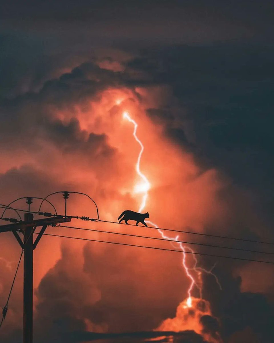 Lightning at the <a href="/MCG/">Melbourne Cricket Ground</a> 
Cats on fire !  #AFLHawksCats