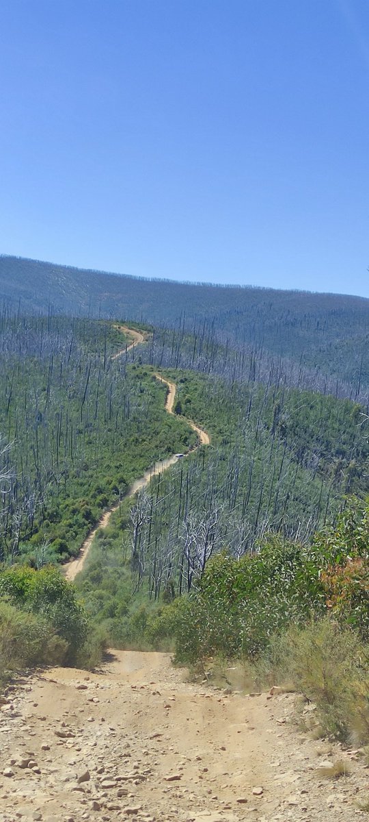 Turn left at the end of the track, that's Blue Rag.
#vichighcountry 
#easter2024 
#easydrive 
#4wding