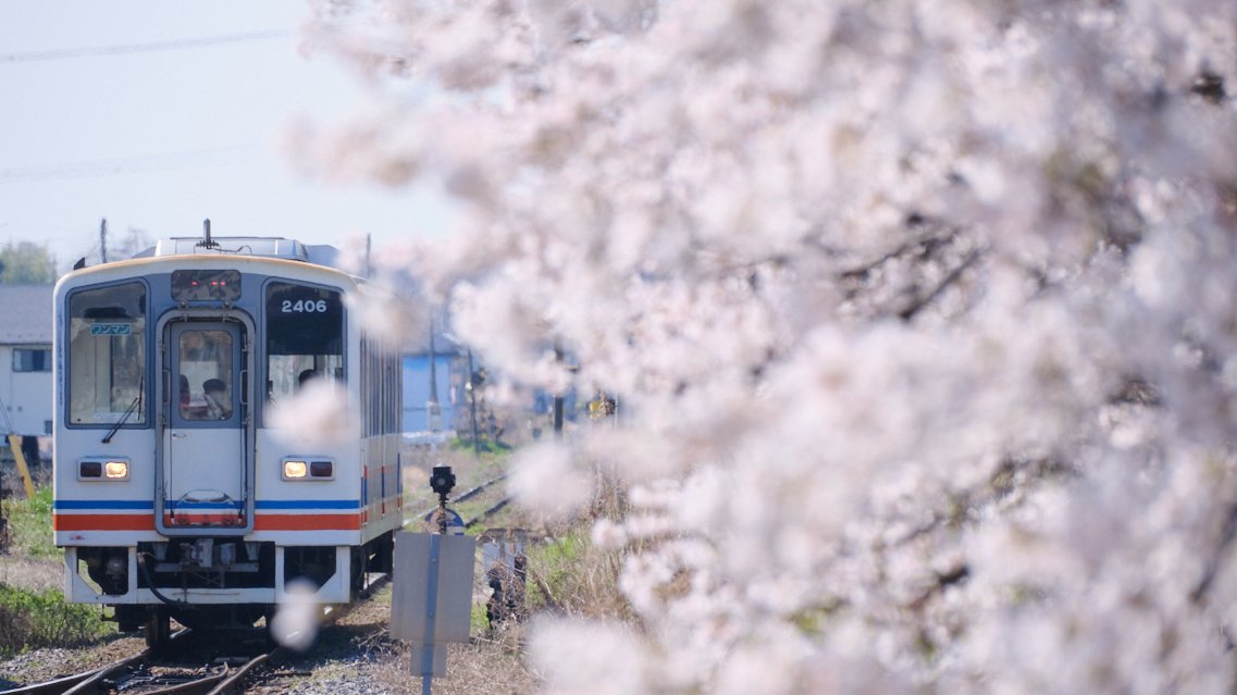 今日は4/1、新年度ですね😊新入生、そして新社会人の皆様おめでとうございます🌸関東鉄道でも入社式が行われました。春からの新しい生活、慣れない環境で最初は大変かと思いますが、皆様の桜咲く未来へ、出発進行～👉