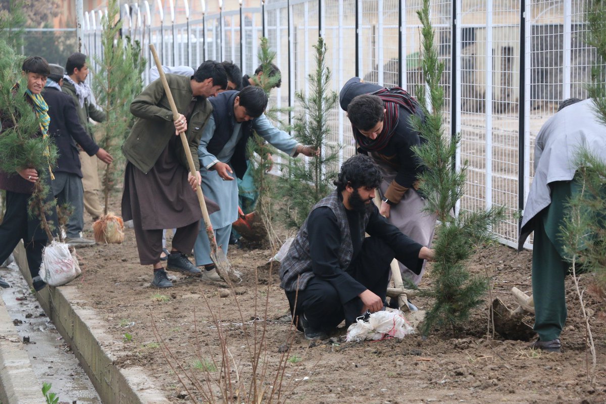 CECOP_AFG's tweet photo. In continuation of the #GreenLegacy campaign, #CECOP hosted a tree planting event at Kabul Educational University! Empowering youth, fostering green thinking, and building a sustainable future right on campus! 
Let's continue to nurture our environment for generations to come. https://t.co/J9cNsSDI6W
