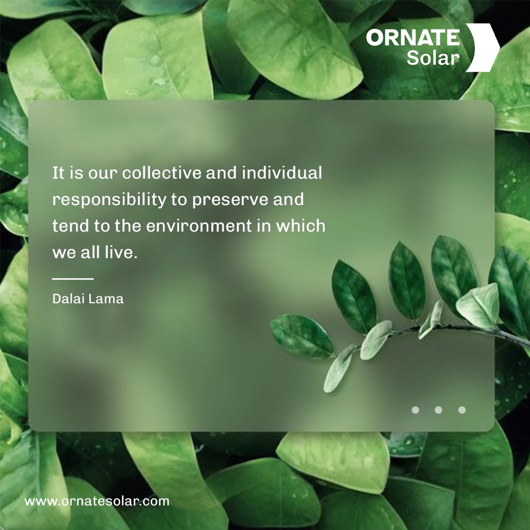 Guardians of Our Earth: It's Our Duty to Preserve and Protect 🌍
.
.
#OrnateSolar #Sustainability #Mondayquote