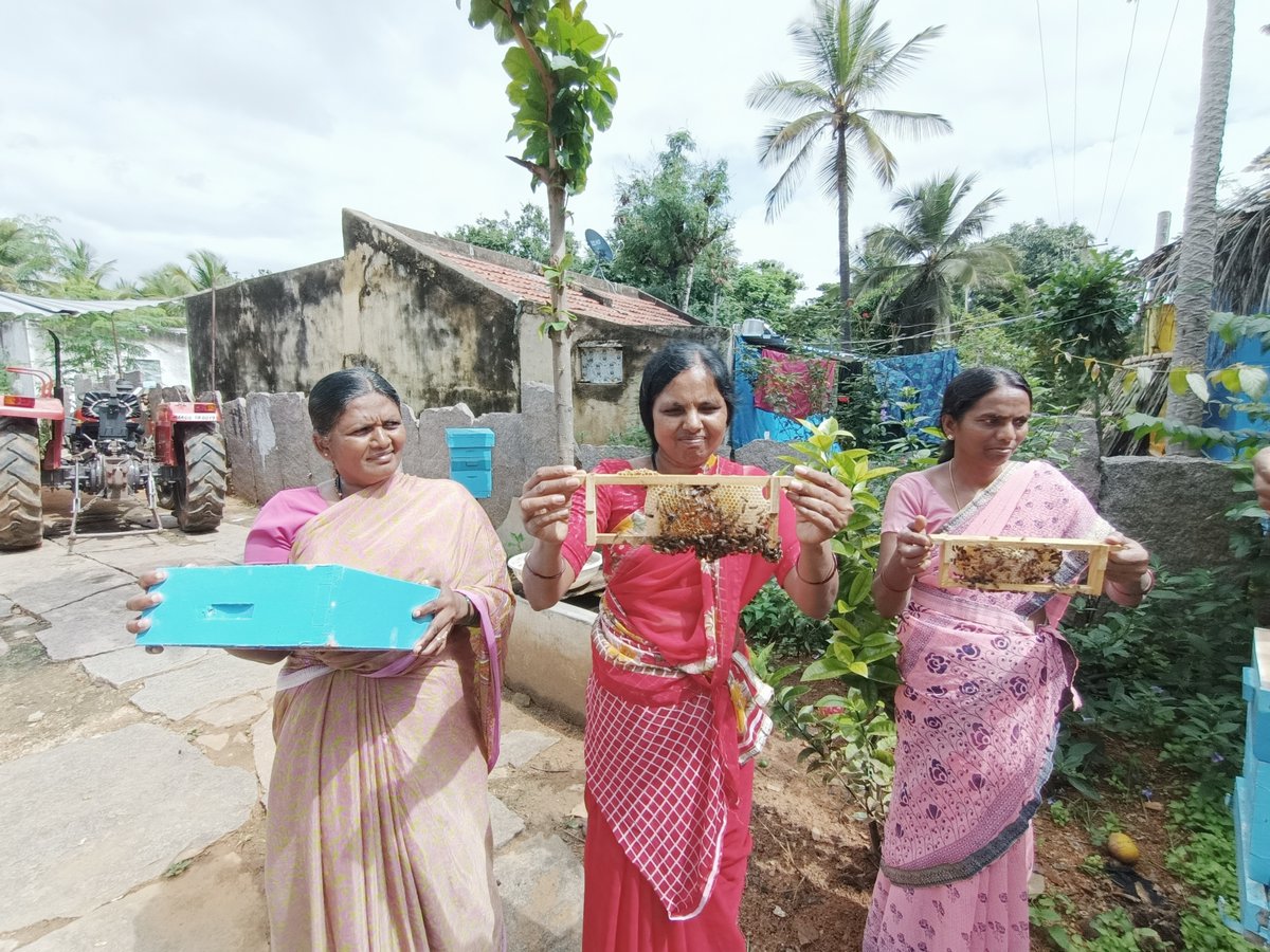 #DYK? Bees 🐝support 35% of 🌏's total crop production thru pollination. Today they are threatened by climate change, habitat loss & pesticides. Read how @UNDP🇮🇳 & @KarnatakaKsrlps are working w/ beekeepers to protect them thru sustainable businesses: bit.ly/3OQHtTo.