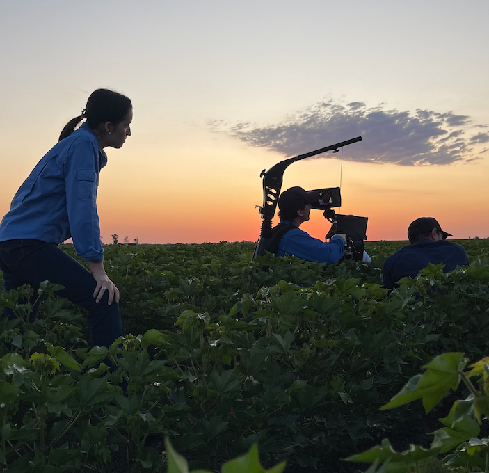 cussonsmedia's tweet photo. Our team can’t wait to be amongst the cotton crops again in a couple of weeks when we head back to Narrabri to film the next video in CRDC’s Strategic Plan series. Sunrise between the cotton plants is always spectacular 🎥🌞🌱

#cotton #sunrise #videoshoot #Narrabri #NSW https://t.co/DLpmRaBeqE