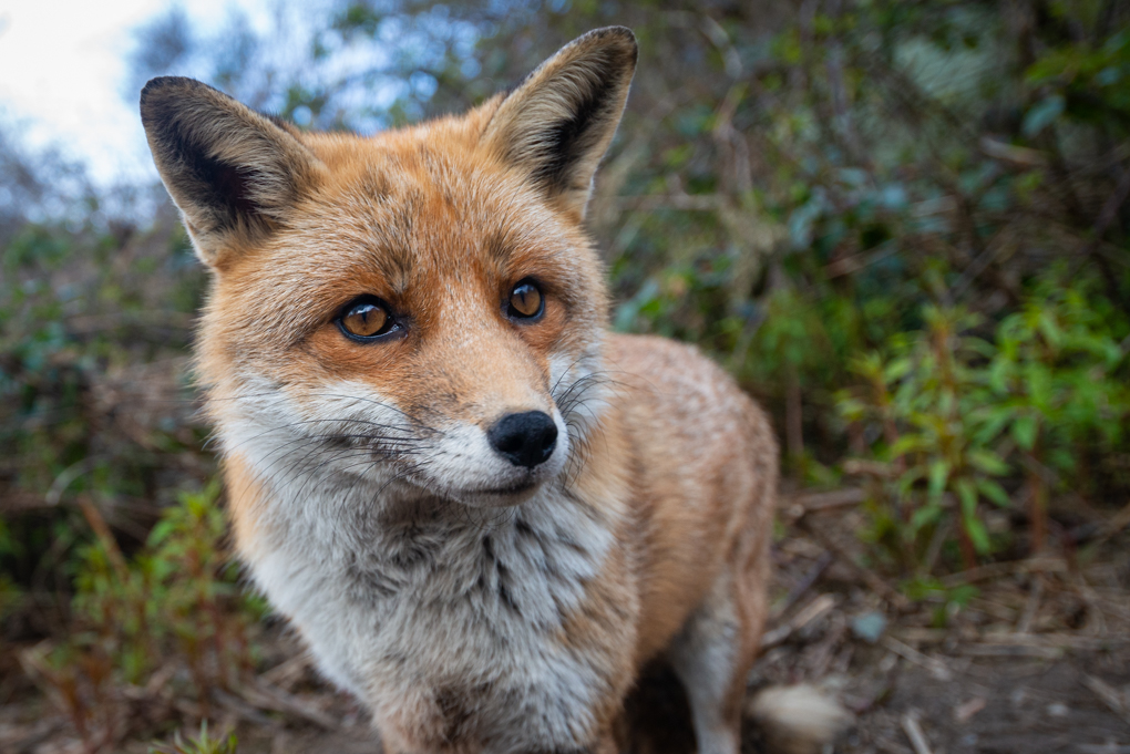 Richard Bowler tweet media