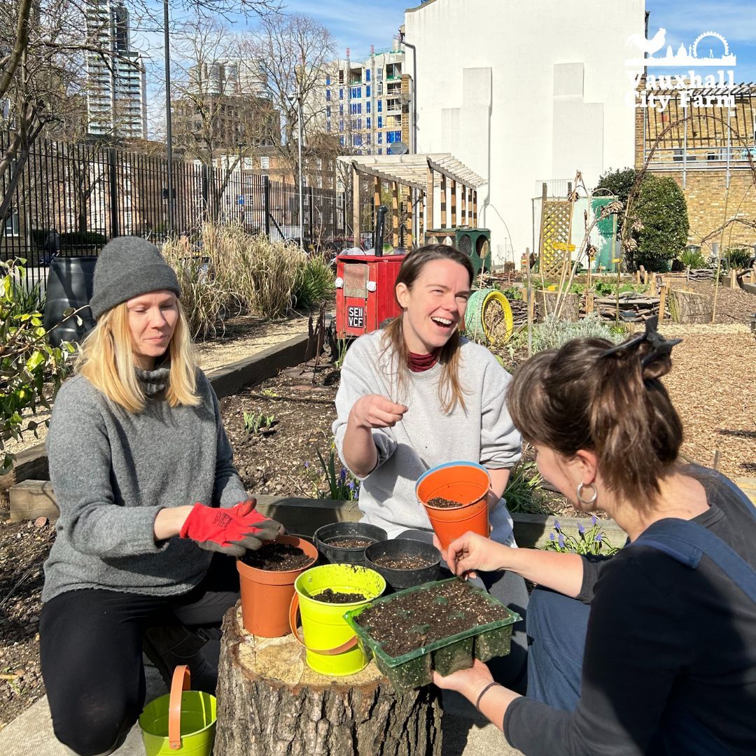 An opportunity for adults to meet others, spend time outdoors and learn new skills for FREE! Register Here: buff.ly/49J1E0D #VauxhallCityFarm #CommunityGarden #Gardening #Gardener #GardeningClubs #Nature #LocalGroup #LQBTQ+ #Pride #InclusiveCommunity #lambethallies