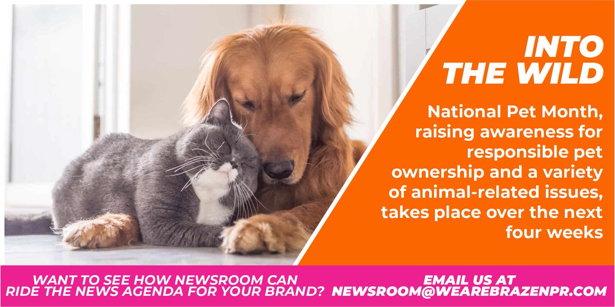 From a must-watch scoop to a month of furry fun - Brazen's Newsroom's got the stories to spark conversations 🤩 Want to ride the news agenda for your brand? Email now 👉 newsroom@wearebrazenpr.com #WeAreBrazenPR #PRAgency #WeeklyRide