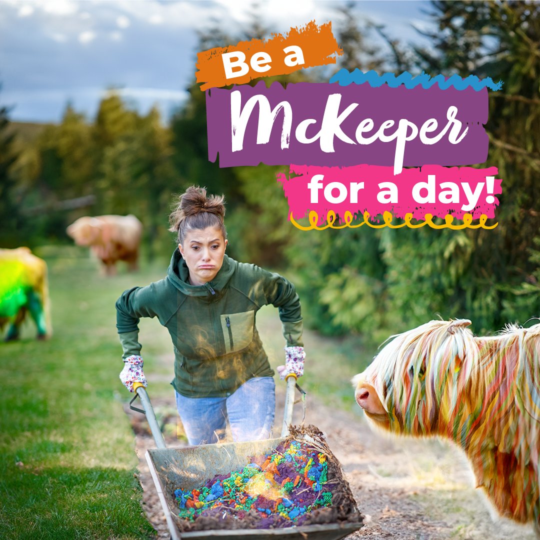 The time has finally come for you to be a McKeeper for a day! Learn how to take care of our colourful Highland cows on our specialist farm in Scotland, whilst learning everything they need to live happy and vibrant lives! 🌈 Book today! ⬇️ stevenbrownart.co.uk