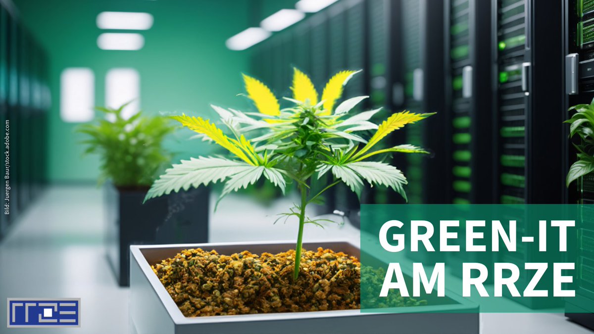 Der Serverraum des RRZE produziert eine große Menge an Abwärme. Diese Ressource wird ab heute effektiv genutzt – zur Beheizung eines Indoor-Cannabis-Anbaus. In unserem Beitrag erfahrt ihr alles zu unserem Green-IT-Projekt. Zum Beitrag: rrze.fau.de/2024/04/green-…