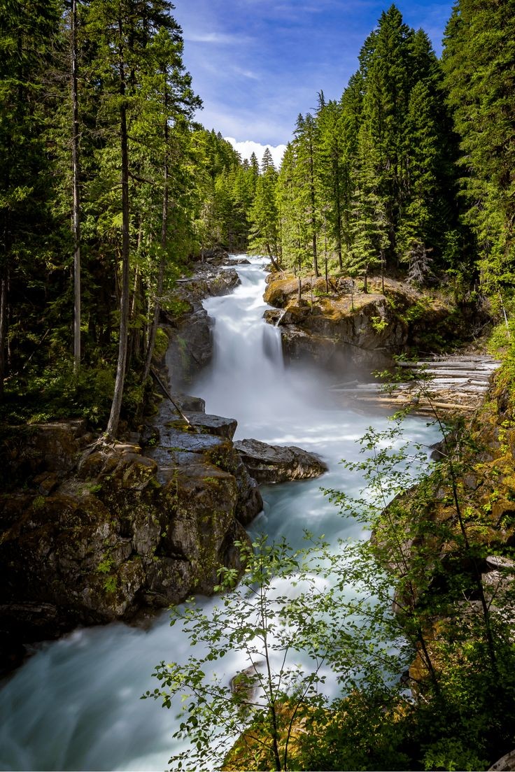 Dobro jutro🍀Good morning