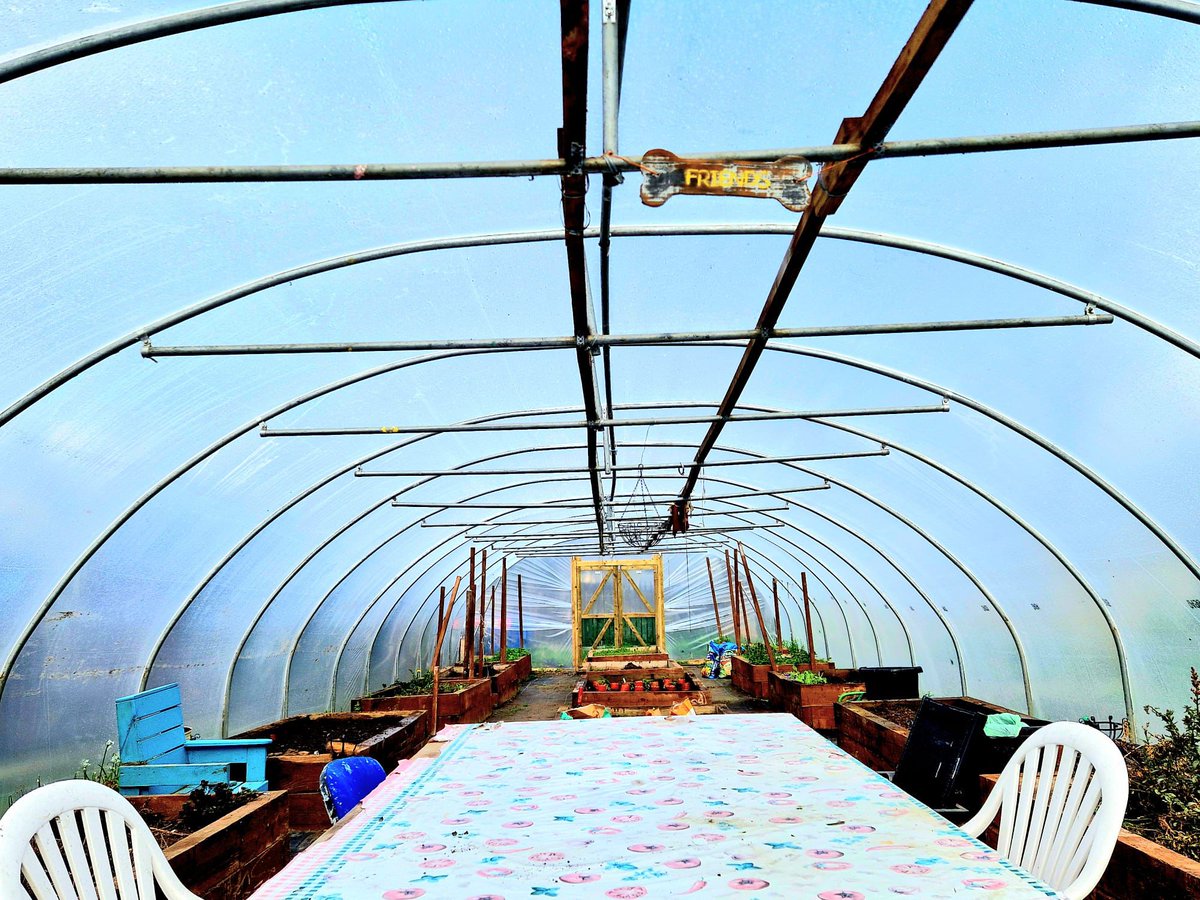 Crumlin Community Cleanup tweet media