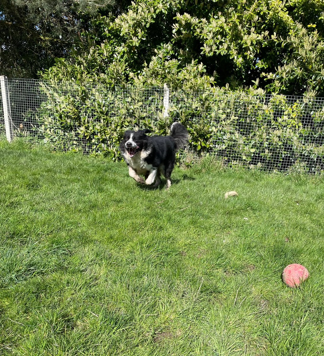 If the rain ever stops, I'll be back in the garden, charging around having fun #MondayMorning