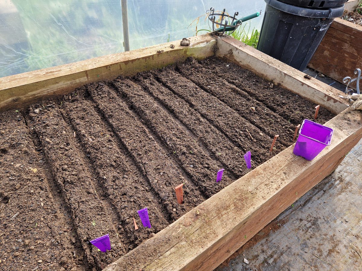 Happy Easter to all the residents of Crumlin. Our volunteers of all ages are always busy in the area. Weekly litter picking is in full swing, as is planting in our new community poly tunnel 🌱