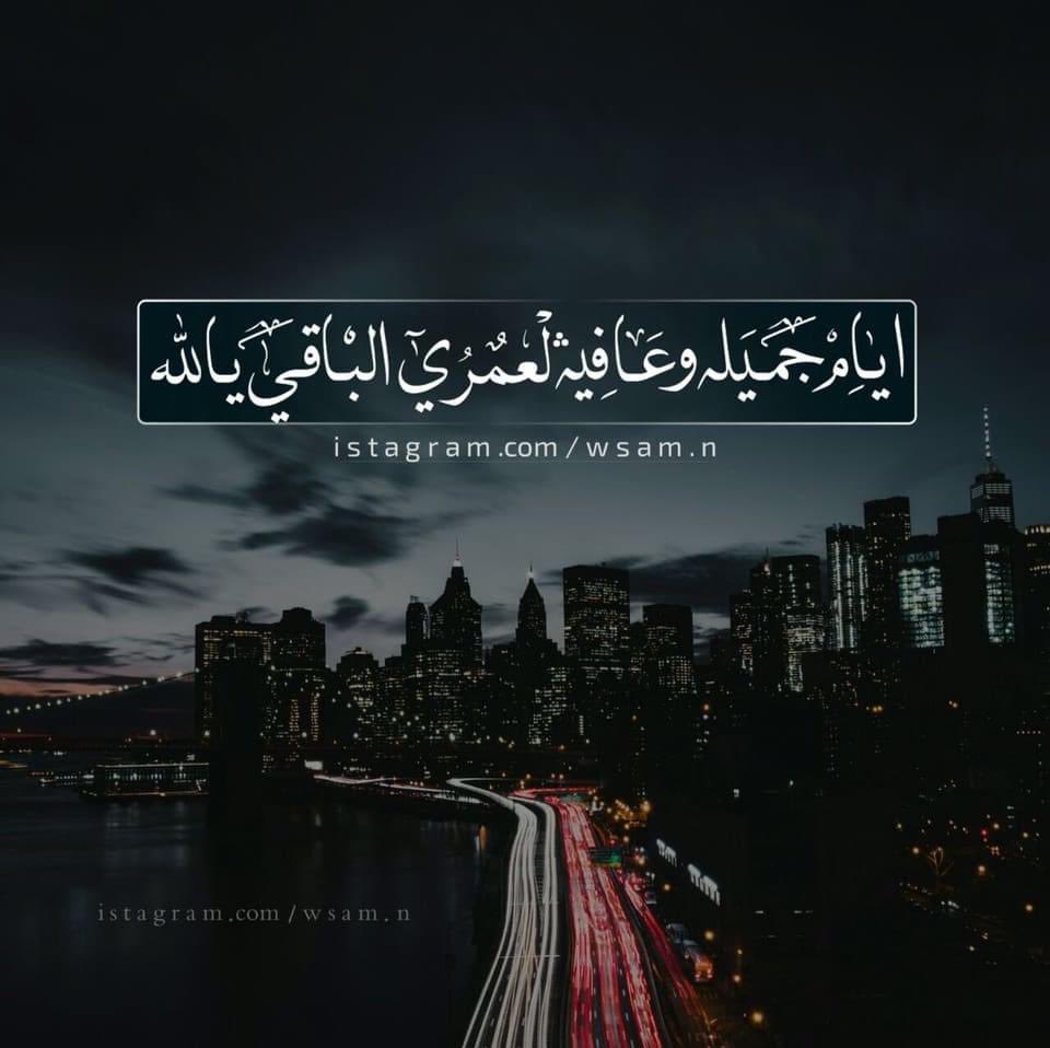 چاسمينا tweet media