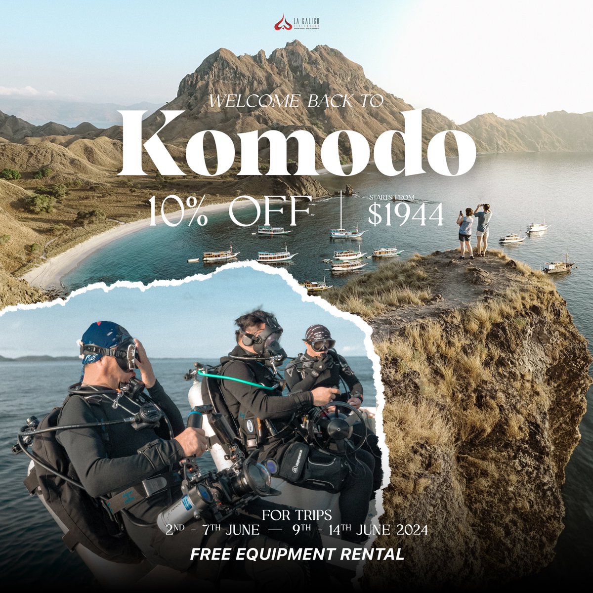 Liveaboard_Indo's tweet photo. Komodo Diving Special Offer - 10% Off selected trips and Free Equipment Rental. That’s an amazing trip for as low as $1,944, Plus $175 in extras, you’re saving $391 Valid for:
Jurassic Komodo Expedition, on June 2nd to 7th 2024
Jurassic Komodo Expedition, on June 9th to 14th 2024 https://t.co/NYyugZHtbc