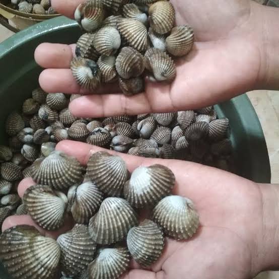 falla_adinda's tweet photo. Ingin anaknya jadi:                  Untuk melindungi: https://t.co/EUTneUv4my