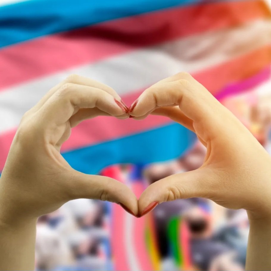 I celebrate Transgender Day of Visibility because I believe in freedom. Freedom is having the ability to be ourselves while being treated with dignity &amp; respect, with equal opportunity, &amp; safe from violence. I want to live in a free country. I support my trans brothers &amp; sisters.