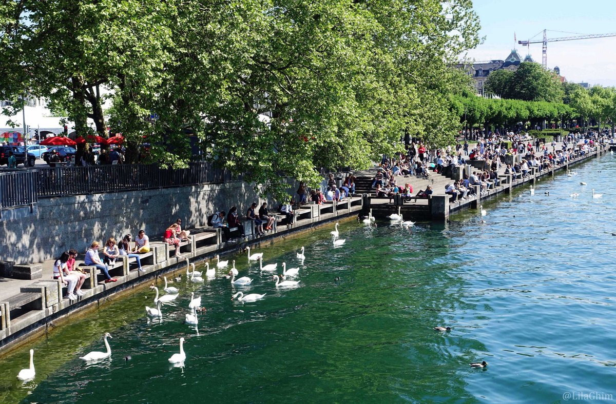 Lila Ghim🚢 tweet media