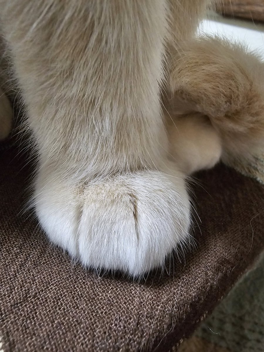 Onlyfrands ... here I come