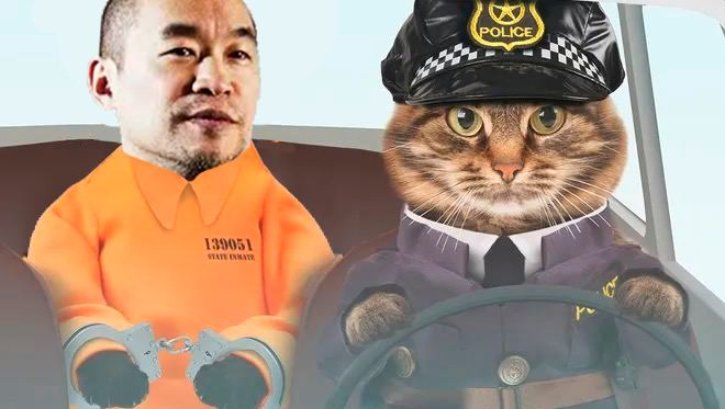 PoliceCatOnSol's tweet photo. @machibigbrother @bobaoppa You and your dog should go to the police

$PCAT #POLICECAT https://t.co/O3sIj6ULGo