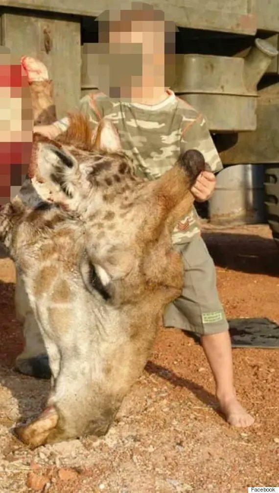 RobRobbEdwards's tweet image. Among the shocking photos of Trophy Hunting in Africa is a young boy holding the severed head of a giraffe - which is almost as big as the child himself.