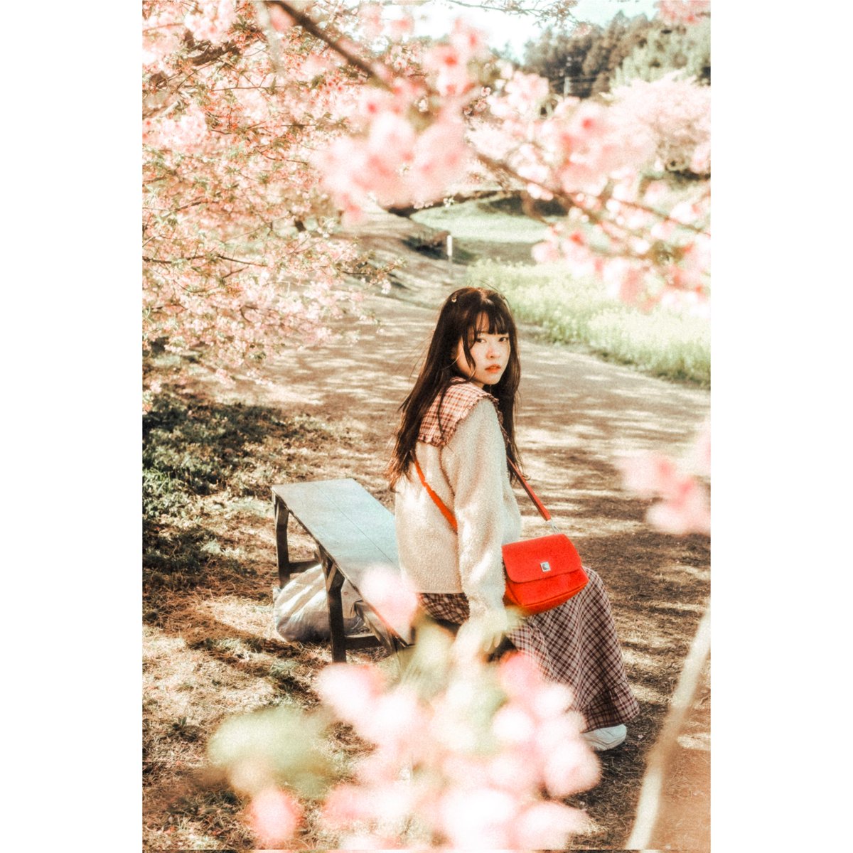 na_sha07rr's tweet photo. .
.

#freemodel #portrait #portraitphotograph #likeforlikeback #like4likes
#셀카 #셀스타그램 #被写体 #カメラマンさんと繋がりたい #カメラマン募集
* #ファインダー越しの私の世界
#jp_portrait部
#キリトリセカイ
 ＃被写体モデル ＃人物撮影 ＃桜写真 ＃桜ポートレート ＃桜ポトレ https://t.co/JryRwSg6Qo