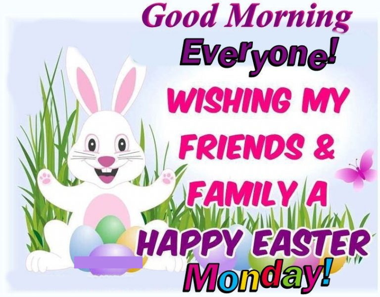 mikesimmo2's tweet photo. Good morning. 😇❤️🐰 https://t.co/15ze43Flhs