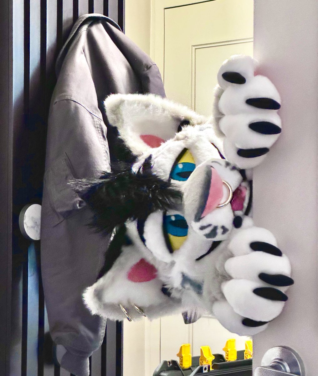 He is wondering if he can sleep in your bed tonight.