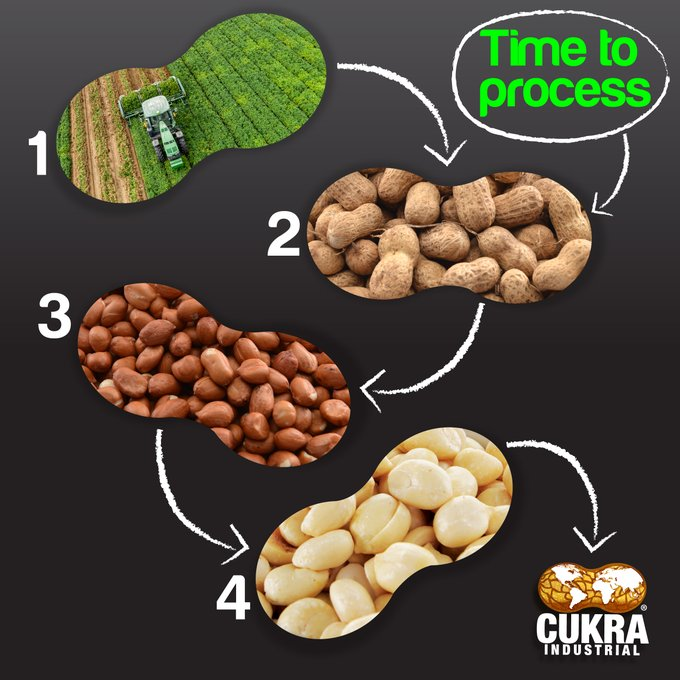 At this moment we are about to finish receiving the 2019 crop. The shelling and blanching plants are at full capacity to deliver peanuts on time.  
visit our website 

cukraindustrial.com

 #SomosCukraIndustrial #aworldofpeanut