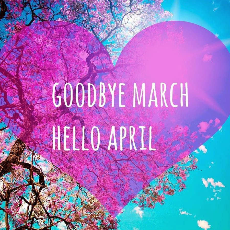 #helloapril #april1st #aprilfoolsday #aprilfools #aprilfirst #newmonth #newgoals #newpossibilities #april #happyapril 🦋🌹🌻🌺🌼🌹🦋