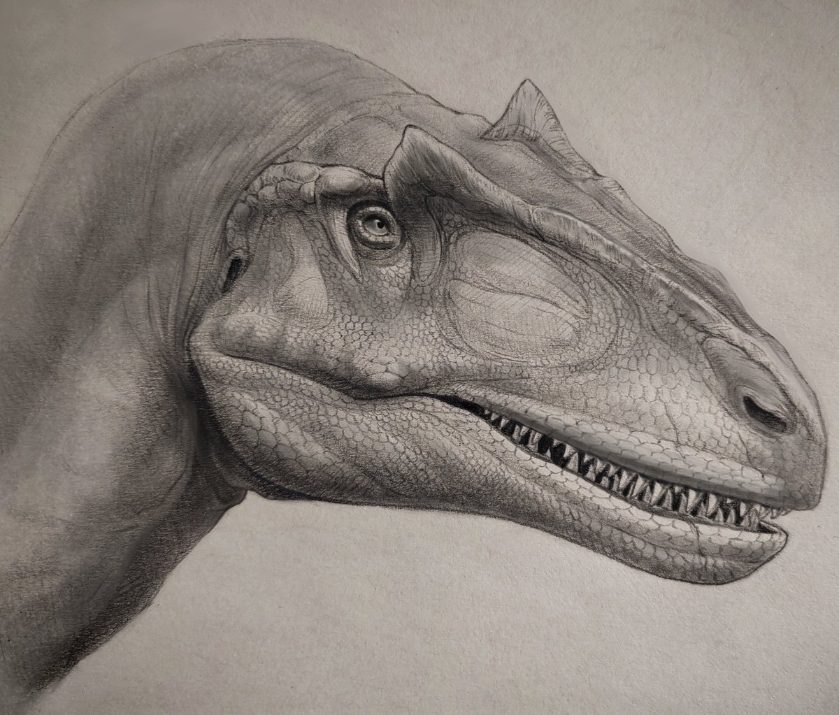 Allosaurus jimmadseni.Big AL.#paleoart #dinosaur #Allosaurus