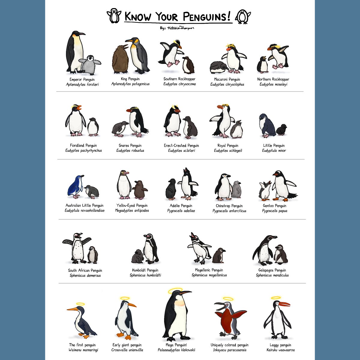 I hope you enjoyed March of the Penguins! It's a bit of a departure from the usual style, but learning about how to digitally paint bird plumage was enjoyable. It's available as a print on my Redbubble shop!
#marchofthepenguins #penguin #bird #illustratedguide #education #art