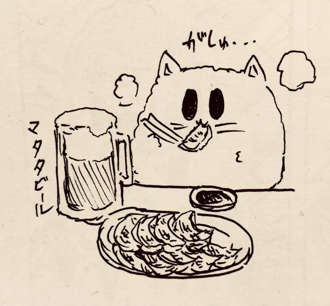 昼間から餃子と(マタタ)ビール飲んでるもち猫さん🍺🥟 