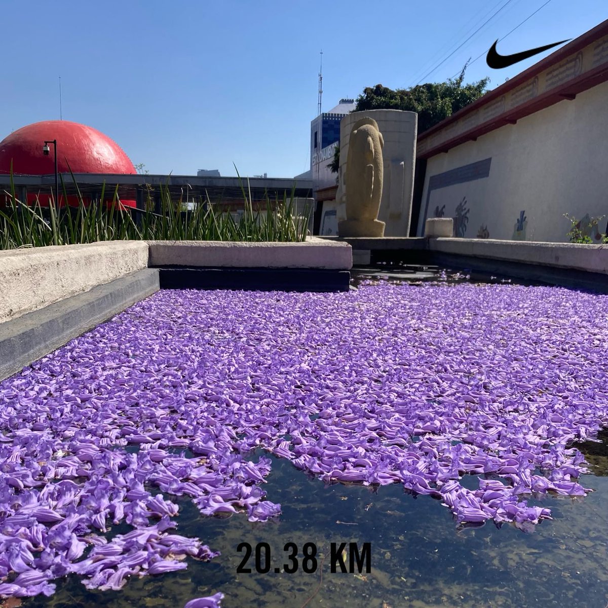 Angel Bolaños (@abolanos0211) on Twitter photo 