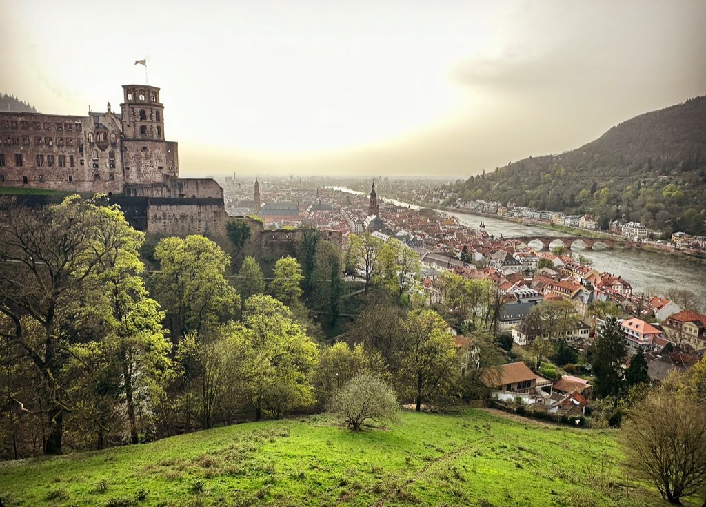 Danyal Bayaz tweet media