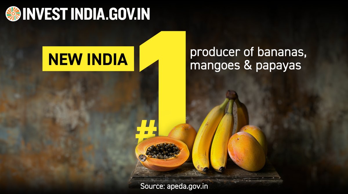 #NewIndia adds tropical delight to the world's fruit platter by contributing ~26% of banana, ~43% of mango and ~30% of papaya production - ripe for fruit-based food processing companies. Explore more at bit.ly/II-FruitsAndVeg #InvestInIndia #Agriculture #FruitProduction