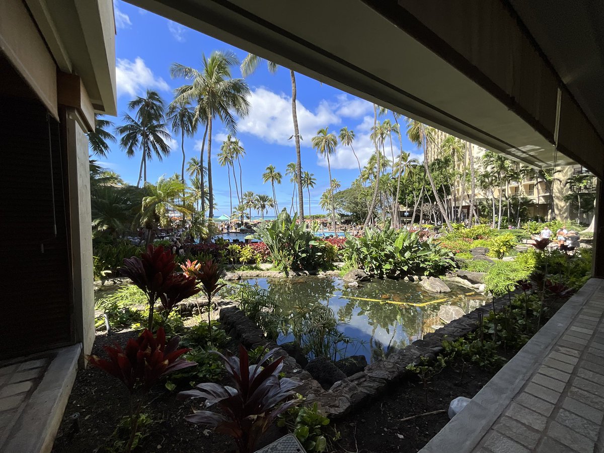 hawaii_isla808's tweet photo. Happy Easter from Hilton Hawaiian Village 🤙🏼🌺📸🏖️☀️💥🏝️🏊♂️🙏🏼🐣🌴 #hawaii #waikiki #ohu #hiltonhawaiianvillage #honoluluhawaii https://t.co/9eGd9EW3HS
