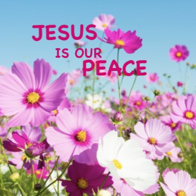 ”Peace I leave with you, My peace I give to you; not as the world gives do I give to you. Let not your heart be troubled, neither let it be afraid.“ John 14:27 🌸🙌💝