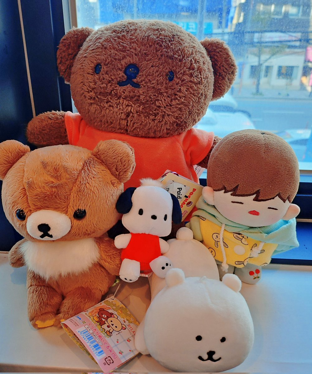 뭉이 새친구들 만나뗘요 오늘 집에 같이 갈꺼에요!! 신이나